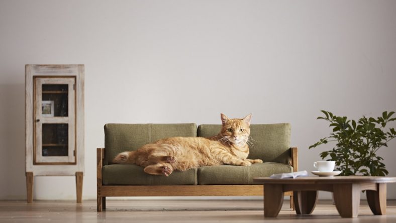 Frugal Tips for Buying Furniture
