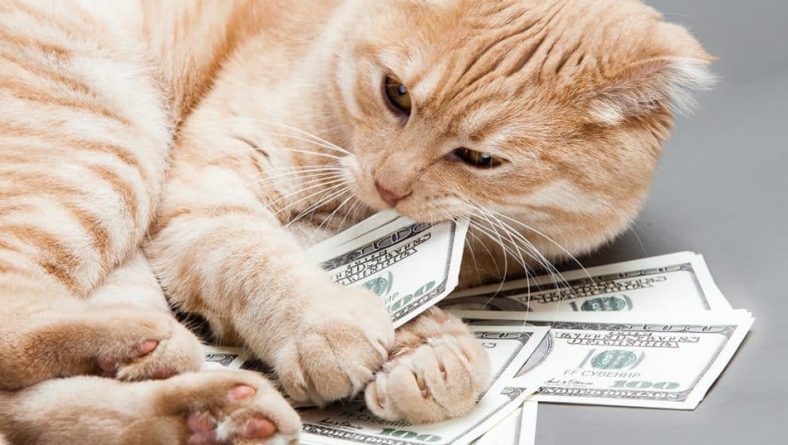 Money-Saving Tips Around the Home