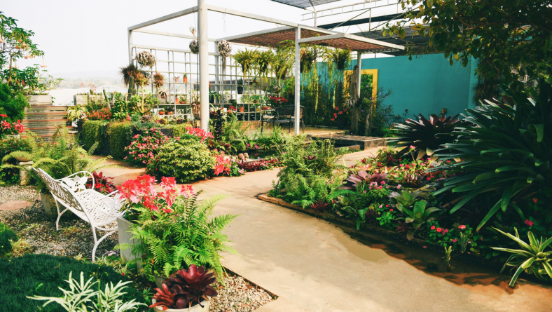 Easy Ways to Improving Your Garden